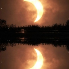 Дмитрий Смирнов, 11.04, Санкт-Петербург