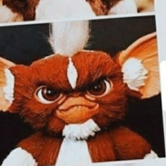 Андрей Грибань, 17.12, Москва