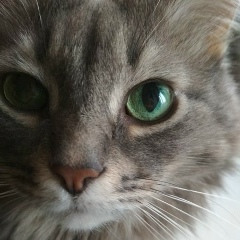 Екатерина Голыгина, 09.02