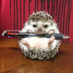 Андрей Белышев, 19.12, Москва