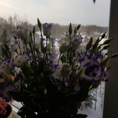 Людмила Сергеева, 08.01, Москва