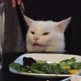 Илья Кот, Санкт-Петербург