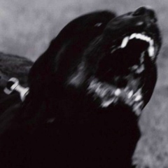 Геннадий Немец, 16.10, Düsseldorf