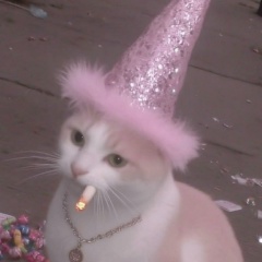 Дарья Шемина, 23.05