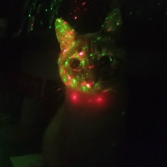 Наталья Бухарина, 29.01, Санкт-Петербург