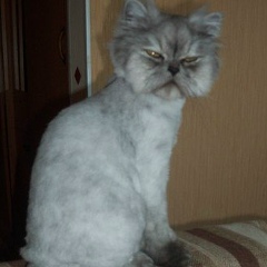 Виктория Петренко, 23.03.1989, Полтава