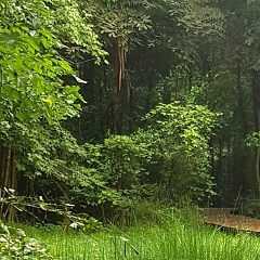 Kyihlaing Phyo, 20.07.1987, Yangon