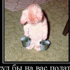 Павел Федоров, 10.02.1982, Санкт-Петербург