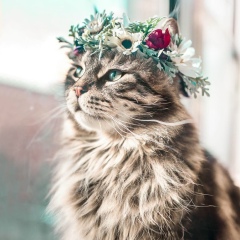 Юлия Розина, 30.09, Хабаровск