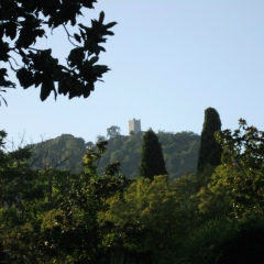 Александр Ануфриев, 21.03.1989, Санкт-Петербург