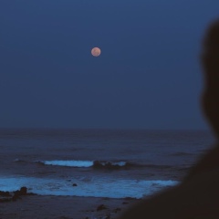 Адам Доколаев, 01.10.1990, Грозный