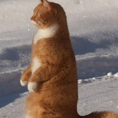 Борис Ложкин, Пермь