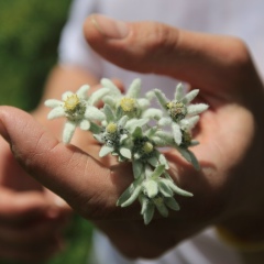 Екатерина Гурьева, 24.05, Москва