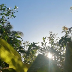 U-Naing Gyi, Pathein