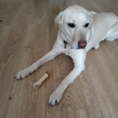 Иван Ермаков, 23.01.1982, Санкт-Петербург