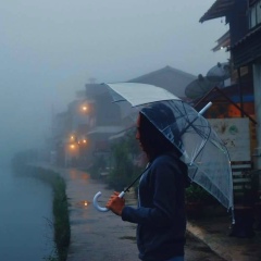 ပန္း ကေလး, 01.02.2004