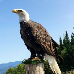 Сергей Стеченко, 29.01.1986