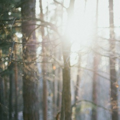 Dmitry Root, 02.09.1981, Тамбов