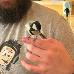 Владимир Вотяков, 10.04.1990, Королёв