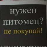 Михаил Многокотов, Санкт-Петербург