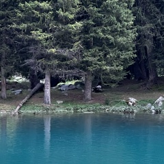 Дима Якут, Москва