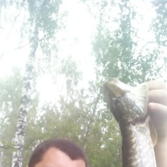 Анатолий Коломеец, 19.11.1985, Москва