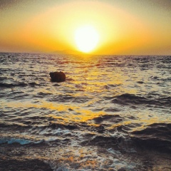 Olena Lozynska, 12.08, Львов