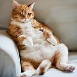 Никита Заец, 08.04, Санкт-Петербург