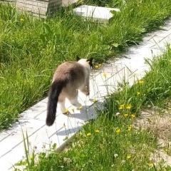 Елена Носкова, 05.04, Москва