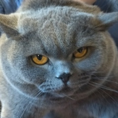 Михаил Бурлаковский, 02.10.1990, Санкт-Петербург