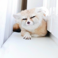 Валерия Виласова, 31.10, Киев