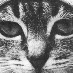 Жека Соловей, 08.02.1989, Санкт-Петербург