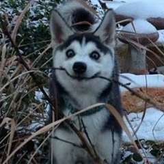 Наталия Сухарева, 14.07.1989, Москва