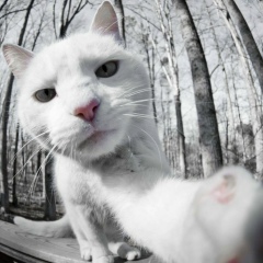 Игорь Юхно, 26.09