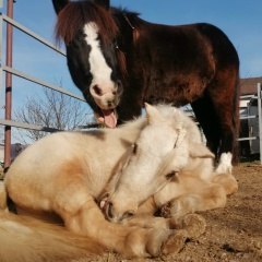 Лена Шабанина, 08.06.1985, Новороссийск