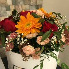 Жибек Бакытовна, 27.08, Алматы