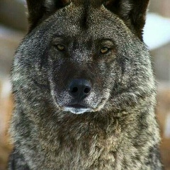 Алексей Богданов, 15.04.1982, Казань