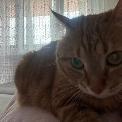 Александр Ковин, 07.10, Чехов