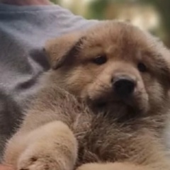 Валера Леонтьев, 28.04.1987, Нижний Новгород