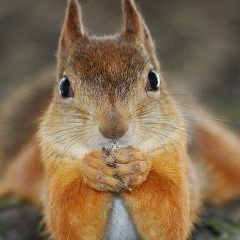 Мария Скворцова, 16.04, Киев