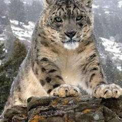 Бекжан Архабаев, 19.05.1901, Алматы