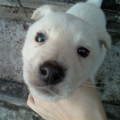 Лера Каштанова, Соликамск