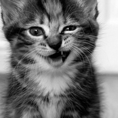 Мария Крылова, 19.08.1982, Санкт-Петербург