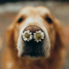 Александра Зенкова, 21.01, Москва