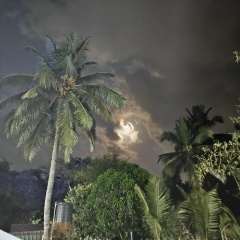 Алексей Паничкин, 16.09.1982, Санкт-Петербург