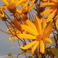 Ольга Мельнова, 10.12.1982, Санкт-Петербург