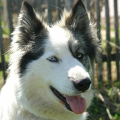 Анастасия Долгова, 11.05.1983, Москва