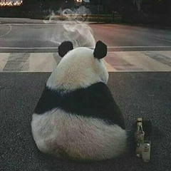 Сергей Благонравов, 22.09, Нижний Новгород