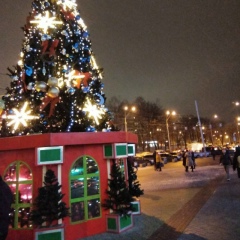 Алёна Мысюра, 21.12, Винница