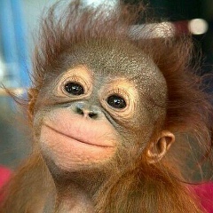 Мехри Настоящая